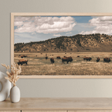 Out West Frame TV Art Pack