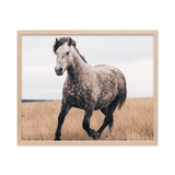 Out To Pasture - Digital Download