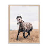 Out To Pasture - Digital Download