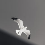 Soaring - Digital Download