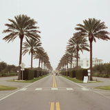 Alys Beach On 35mm Film - Digital Download