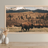 Out West Frame TV Art Pack