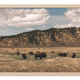 Out West Frame TV Art Pack