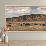 Out West Frame TV Art Pack