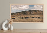 Out West Frame TV Art Pack