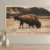 Out West Frame TV Art Pack